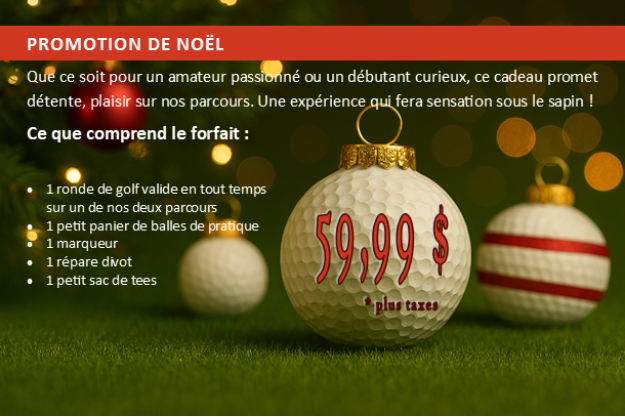 Image de Promotion Noël 2025
